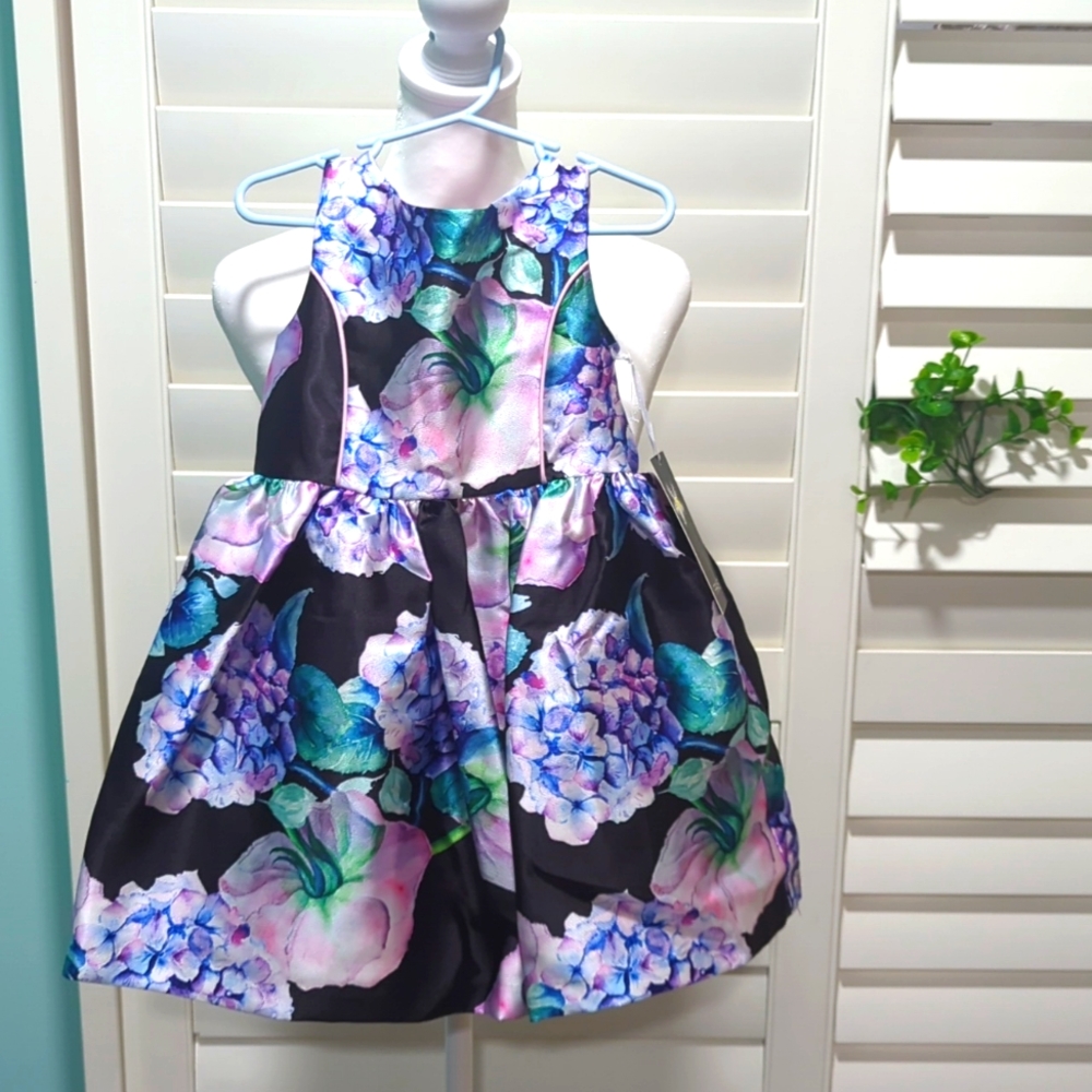 Retail$ 50 NWT Nordstrom Frais Girl Size 4 dress